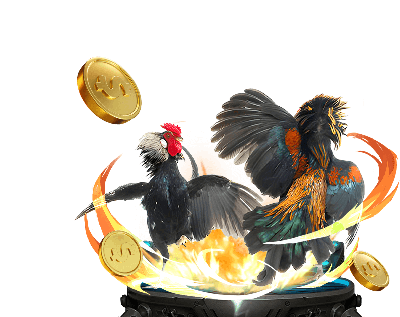 Cá cược Đá Gà five88 vin